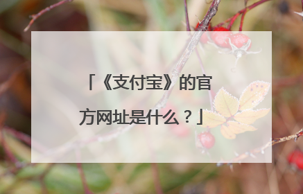 《支付宝》的官方网址是什么?