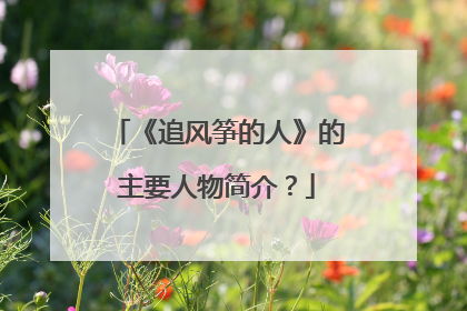 《追风筝的人》的主要人物简介?
