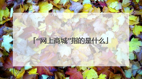 “网上商城”指的是什么
