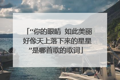 “你的眼睛 如此美丽 好像天上落下来的星星”是哪首歌的歌词