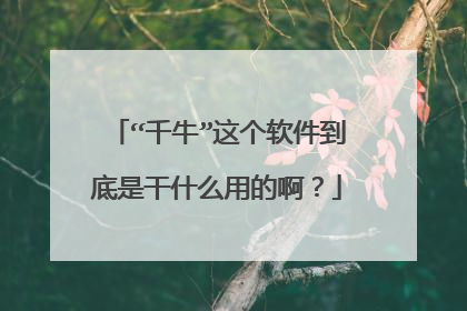 “千牛”这个软件到底是干什么用的啊?