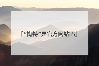“掏特”是官方网站吗
