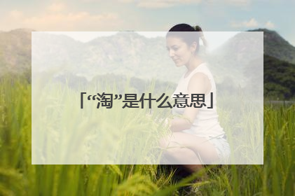 “淘”是什么意思