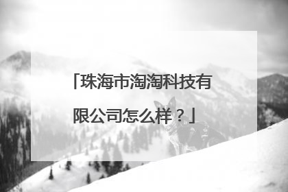 珠海市淘淘科技有限公司怎么样?