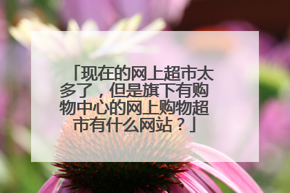 现在的网上超市太多了,但是旗下有购物中心的网上购物超市有什么网站?