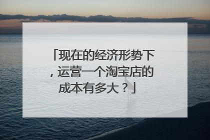 现在的经济形势下,运营一个淘宝店的成本有多大?