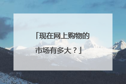 现在网上购物的市场有多大?