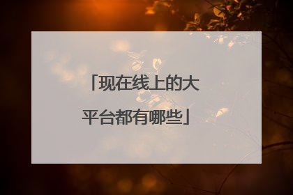 现在线上的大平台都有哪些