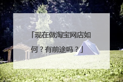 现在做淘宝网店如何?有前途吗?
