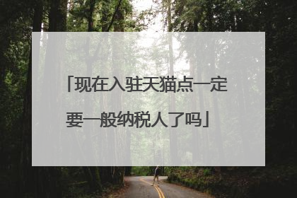 现在入驻天猫点一定要一般纳税人了吗