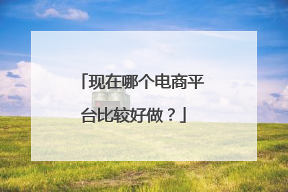 现在哪个电商平台比较好做?