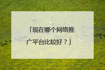 现在哪个网络推广平台比较好?