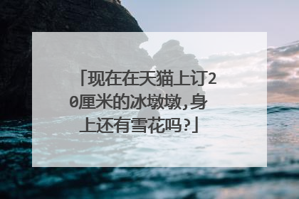 现在在天猫上订20厘米的冰墩墩,身上还有雪花吗?