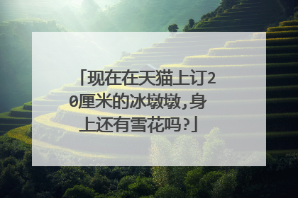 现在在天猫上订20厘米的冰墩墩,身上还有雪花吗?
