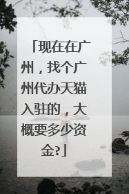 现在在广州,找个广州代办天猫入驻的,大概要多少资金?