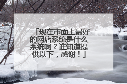 现在市面上最好的网店系统是什么系统啊?谁知道提供以下,感谢!