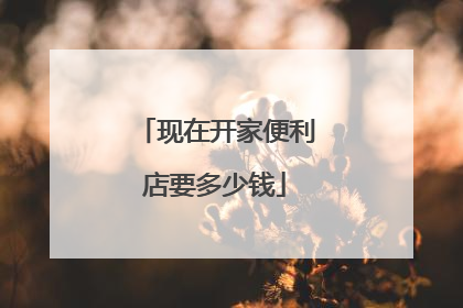 现在开家便利店要多少钱