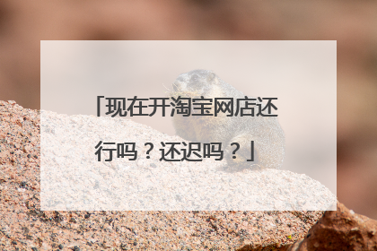 现在开淘宝网店还行吗?还迟吗?