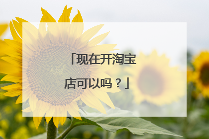 现在开淘宝店可以吗?