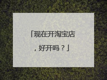 现在开淘宝店,好开吗?