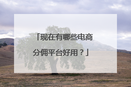 现在有哪些电商分佣平台好用?