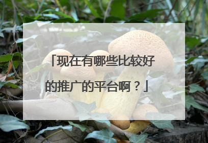 现在有哪些比较好的推广的平台啊?