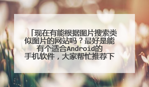 现在有能根据图片搜索类似图片的网站吗?最好是能有个适合Android的手机软件,大家帮忙推荐下啊,thanks~