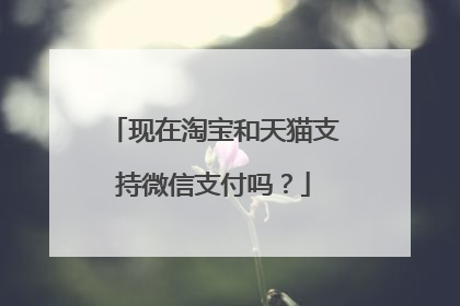 现在淘宝和天猫支持微信支付吗?