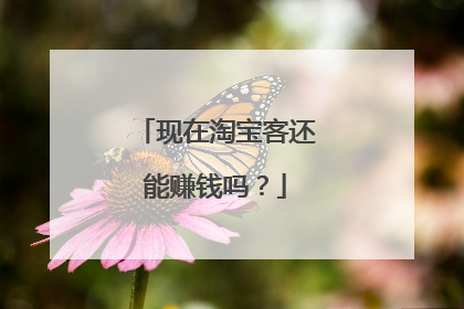 现在淘宝客还能赚钱吗?