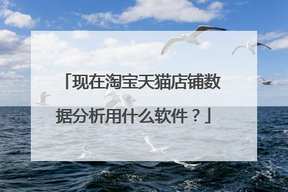 现在淘宝天猫店铺数据分析用什么软件?