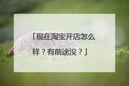 现在淘宝开店怎么样?有前途没?