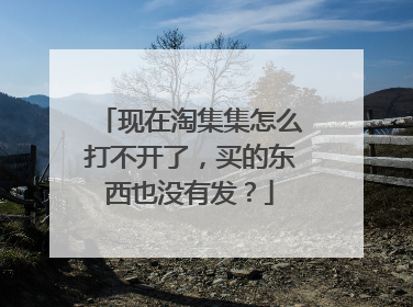 现在淘集集怎么打不开了,买的东西也没有发?