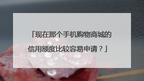 现在那个手机购物商城的信用额度比较容易申请?