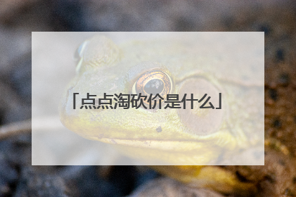 点点淘砍价是什么