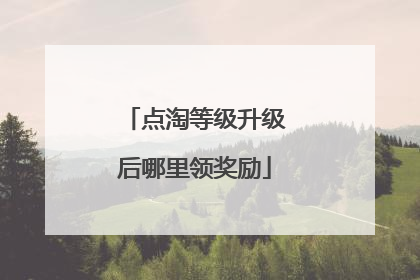 点淘等级升级后哪里领奖励
