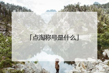 点淘称号是什么