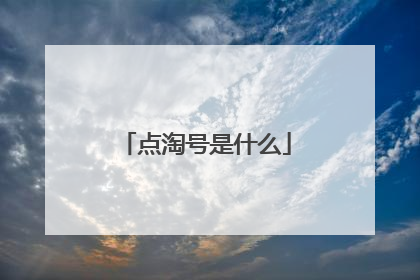 点淘号是什么
