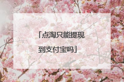 点淘只能提现到支付宝吗