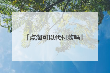 点淘可以代付款吗