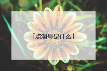 点淘号是什么