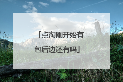点淘刚开始有包后边还有吗
