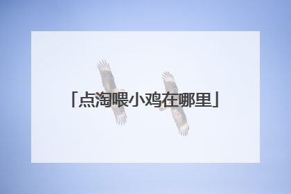 点淘喂小鸡在哪里
