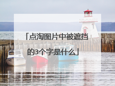 点淘图片中被遮挡的3个字是什么