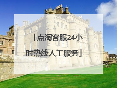 点淘客服24小时热线人工服务