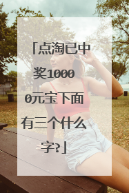 点淘已中奖10000元宝下面有三个什么字?