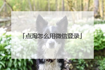 点淘怎么用微信登录