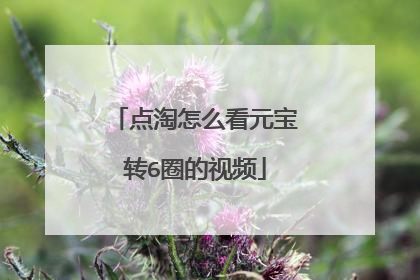 点淘怎么看元宝转6圈的视频