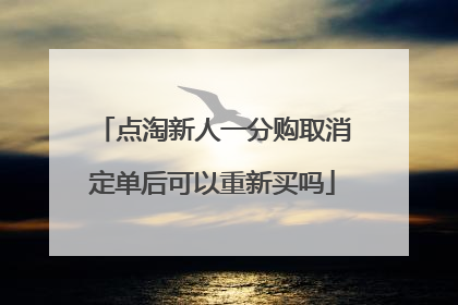 点淘新人一分购取消定单后可以重新买吗
