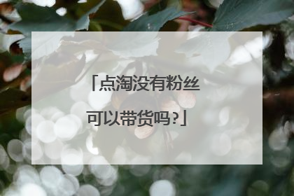点淘没有粉丝可以带货吗?
