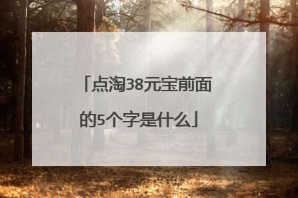 点淘38元宝前面的5个字是什么